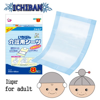 Ichiban Nursing Care Sheets